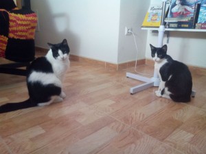 ¿Esto es un espejo?